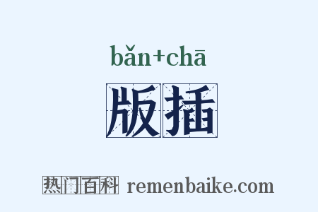 版插是什么意思的图片